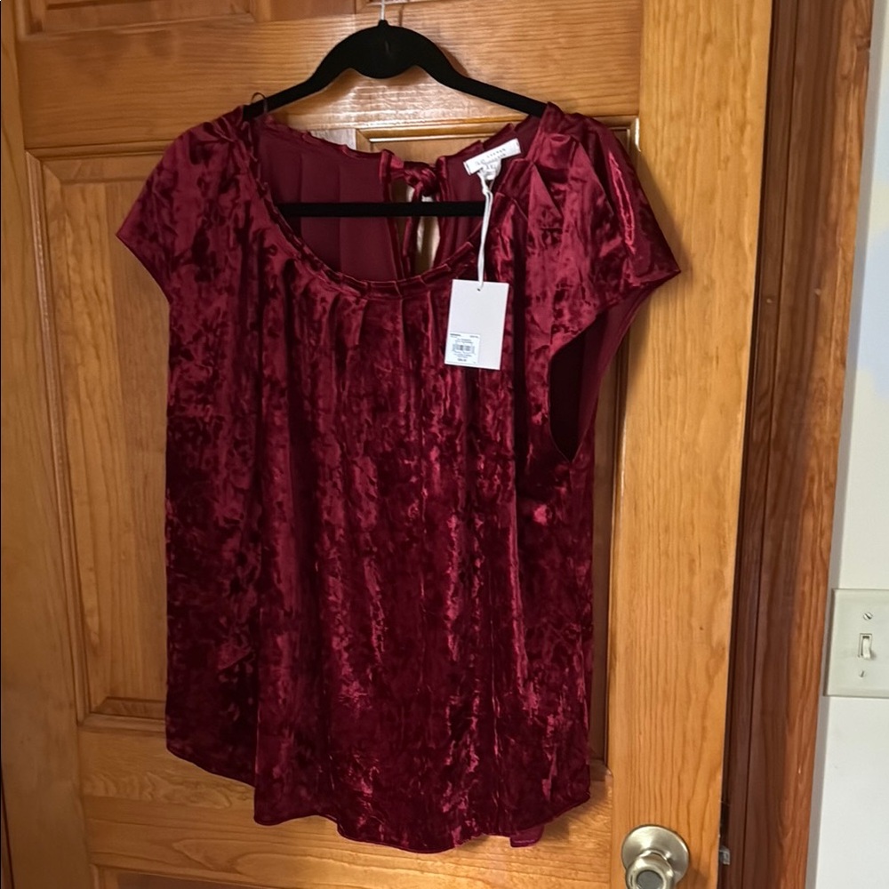 Velvet Burgundy Top